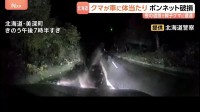 「やばいやばい」クマが何度も車に突進…ボンネットに乗り上げる　ドラレコに一部始終　北海道・美深町