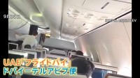 ネタニヤフ首相“副操縦士が墜落させようとした”との見方示す　イスラエル行きの旅客機が緊急着陸　1分間に5000m急降下