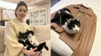 【 ねこ 】藤あや子の愛猫「オレオ」まるで秀吉　冷え始めた季節に上着の上でうずくまって「温めておきやしたぜぃ」