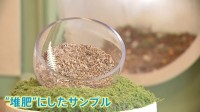 土に還る…アメリカで注目集める“堆肥葬”とは？「子どもたちが歩くたびに思い出してくれる」 新たな故人の送り方