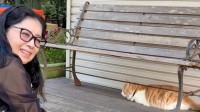 独立公表【 藤あや子 】神宮で〝かわい子ちゃん猫〟〝おみくじ大吉〟「晴れやかな第二章のスタート」青空の下で期待を込める