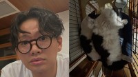 愛猫【 ミキ・亜生 】「寝相が同じ」ハチワレ兄弟の姿にフォロワー悶絶「可愛い」「シンクロ」「兆くんでっかい！」