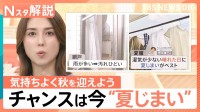 秋到来で“夏じまい”のチャンス！夏服の黄ばみ・汚れを防ぐコツ＆夏の汚れたまる「腕時計」の洗浄方法【Nスタ解説】