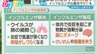インフル感染者“去年の約7倍”　肺炎・脳症・心筋炎…『インフルエンザ合併症』の注意点は【ひるおび】