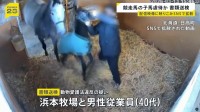 競走馬の子馬虐待の疑いで書類送検　暴行の様子が配信映像に映り込みSNSで拡散