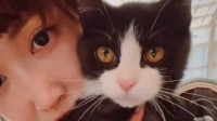 保護猫【 紗栄子 】〝「ずっとの家族」を随時募集〟〝一つの里親決定が二つの命を救う〟