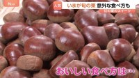 今が旬「栗」！幻の和栗モンブランその味は？日本一の栗の産地では意外な食べ方を発見しました！
