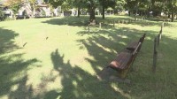 男子高校生（15）の背中をライターで炙り全治1か月のやけどを負わせ財布など奪ったか 東京・足立区の少年5人逮捕 警視庁