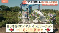 最高気温の積算「1000℃」で開花？秋のバラ見頃近づく　9月長雨で遅れも10月下旬に一面咲く見込み 「不思議の国のアリス」イベントも　京成バラ園　千葉【SUNトピ】