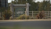 イギリスの野生動物公園でトラの飼育エリアに男性侵入　襲われ死亡　現地メディアによると周囲は高い保護柵やフェンスで厳重に囲まれている場所