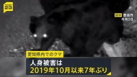 玄関先にクマ…59歳の男性が襲われ“眼球破裂”の大けが 愛知県内で7年ぶりの人身被害　周辺の栗の木に爪痕　豊田市