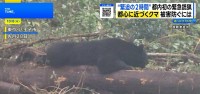 都内初 クマ緊急銃猟の舞台裏 駆除まで2時間　 現場ハンターの“もどかしさ”と都市に迫る危険【THE TIME,】