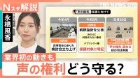 AIで声を無断生成 損失は約20億～45億円「声の権利」認める初の司法判断も“構造的な限界”と課題【Nスタ解説】