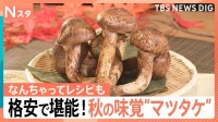 最大10分の1の格安ブータン産に150円ご飯も！高級マツタケを手軽＆安く堪能する激ウマ技【Nスタ解説】