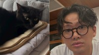 愛猫【 ミキ・亜生 】「気を遣える男はモテるぞ」　神経質な黒猫とマイペースなハチワレ兄弟の距離感にフォロワー「可愛い」