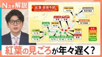 紅葉の見頃が年々遅く…都内は「12月」になる未来も？床もみじ＆桜コラボと混雑回避術【Nスタ解説】