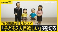 「子ども2人目望む」過去最少28.2％に　お金・時間・年齢…家庭の数だけ見える事情　子どもの将来と目の前の生活…広がる「二重の不安」【news23】