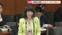 消費税減税法案「誰にどの程度の恩恵があるのか不透明」野党側が追及　委員会で片山大臣への質疑開始　野党の対案に“歩み寄り”の余地を検討