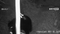 カメラの前をゆっくりと横断　ツキノワグマ撮影される　今月19日に捕獲も保護のため放獣したクマと同一個体　神奈川・秦野市