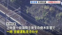京浜東北線が全線で大幅遅延　上中里～田端間の“倒木”で一時運転見合わせ　JR東日本が原因調査