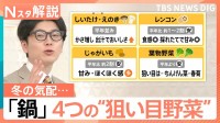 東京で木枯らし1号！鍋シーズン到来も野菜高騰の今冬…アキダイ社長が教える「節約＆満足」な狙い目野菜4選【Nスタ解説】