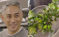 【 市川團十郎 】人生初のハーブティー作りに反響「身体にも心にも優しそう」「すてきな時間をお楽しみください」
