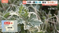 全国639地点で今季一番の冷え込み「家を出たくない」 温かいうどんの注文が急増