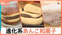 1日200個売れる“揚げどら焼き”＆歯がいらない“とろける大福”！秋に食べたくなる「進化系あんこ和菓子」驚きの新食感【Nスタ】