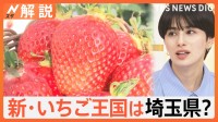 埼玉県 いちごのおいしさ日本一、“いちご王国”栃木に挑む！【Nスタ解説】