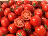 【ゼブラグリーンズ】規格外トマトの加工品開発によるフードロス削減、兵庫県「令和6年度アグリビジネス創出支援事業」に採択