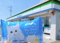 【にゃんともおいしいサマークリームチーズケーキ 実食レビュー】ファミリーマート限定ネコ型スイーツ