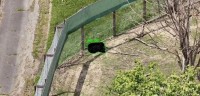 AIがクマを見つける時代へ　ドローンによる新たな安全対策「クマスキャン」