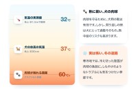 気温32℃でも路面は60℃超に｜犬目線の暑さを予測するお天気アプリ「Pavvy°」