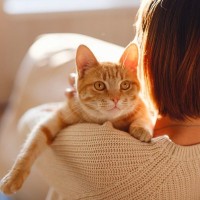 愛猫が飼い主さんに「依存」してしまうのはなぜ？3つの理由と対処法