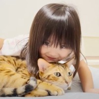 噛みつきベンガル猫はお姉ちゃん気取りの妹分に優しくできる？→検証してみた結果…「かなり賢い子」「対応の違いに笑った」