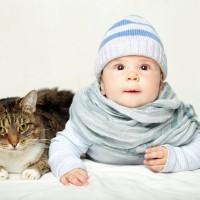 猫と赤ちゃんが安全に同居するための注意点3つ　一緒にいることのメリットもある！