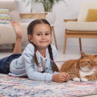 【ペットケアアドバイザー解説】子育て中の家で猫にストレスをかけないためにできること