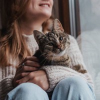 猫の寿命が縮まる『タブーな飼い方』5選とその理由　猫ファーストと心得るべし
