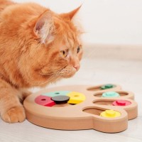 猫が楽しく遊べる『一人遊び用おもちゃ』5選　お留守番やお相手できないときのお供にピッタリ！