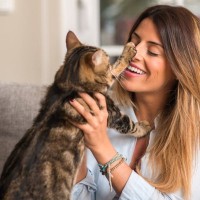 愛猫が『優しい猫パンチ』をしてくる意味3選　同じパンチでも攻撃や不快感とは違うキモチ？