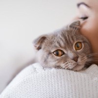 猫をフニャゴロ♡な『甘えん坊』に育てる方法3選　もともとの猫の性格や性別によっては難しい場合も？