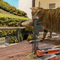 『ジオラマ食堂』看板猫が鉄道に”愛情表現”した結果…カワイすぎるサービスに2万7000再生「最高のもてなし」「接客技術向上してる」