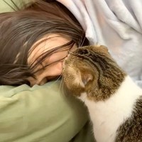 猫が『寝ているママにキス』した結果…頑張って起こそうとする様子が愛おしいと52万6000再生「かっこよすぎ」「反則技」の声