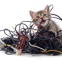 猫が『コードをかじりたがる』理由3選　重大な事故につながるケースも…防止策も解説