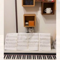 「ピアノ練習に集中できない…（笑）」楽譜の裏に隠れている猫ちゃんがジワる「楽譜を押さえる係」「ミスしたら猫パンチ！？」
