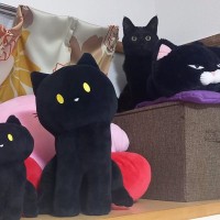 「黒猫まみれ♪」ぬいぐるみの中に紛れ込んでいる猫ちゃんが可愛すぎる「並びたかったのかな？」