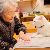 おばあちゃんに『新聞を読ませたくない猫』がとった行動…まさかの『反則技』に「可愛すぎｗ」「ほっこりしたｗ」と1万8000人注目