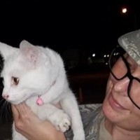 どこからきたの？空軍基地に迷い込んだ腹ペコな猫…奇跡的に飼い主の元へ