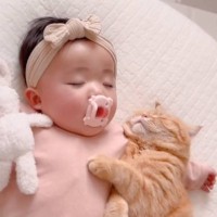 猫と赤ちゃんが仲良しになった結果…少しでも触れていたいと『寄り添って眠る姿』が尊すぎると138万再生「優しい時間」「動悸が」の声
