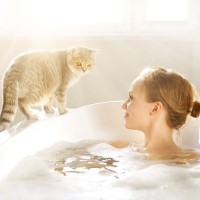 猫が『お風呂上がり』を待っていてくれる理由5つ　お風呂場がきらいなはずなのに、なぜ？